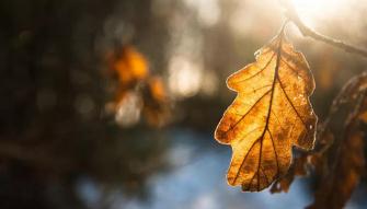 中东部局地气温下降超20℃ 新一轮冷空气已在路上