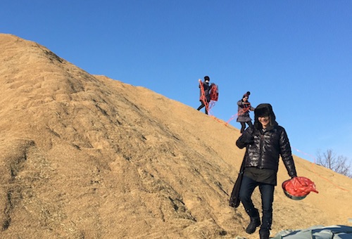 中金粮安投资基金（北京）有限公司三个产业项目落地鹤岗助力煤城转型发展