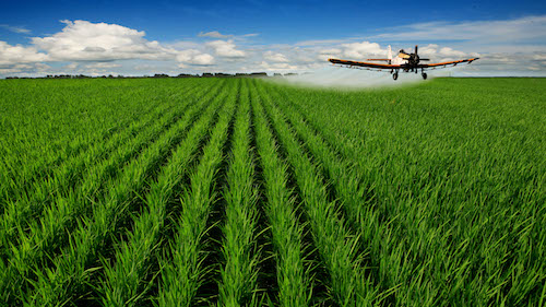 双鸭山市：加快把农业优势转化为经济优势