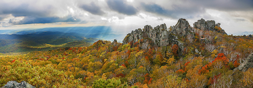 双鸭山市：以绿色生态为底色 深入推进生态文明建设