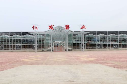 防疫、招商两不误， 齐齐哈尔市克山县30亿元马铃薯全产业链项目签约落地