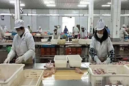 辽宁省兴城市有序推进企业复工复产