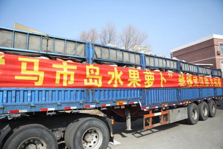 丹东市民、企业共同筹集60吨爱心果蔬驰援武汉