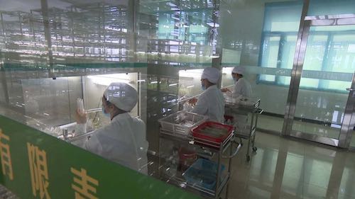 黑龙江克山县：统筹推进疫情防控与经济社会发展