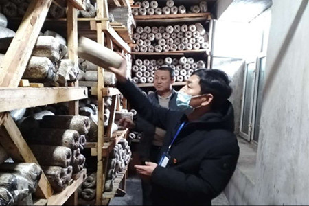 黑龙江勃利县供销社：一手抓防疫，一手抓备春耕生产