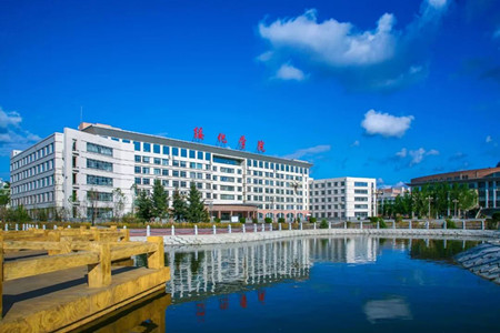 黑龙江绥化学院：战&ldquo;疫&rdquo;中大展巾帼英雄风采