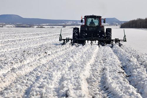 抗疫不误农时 哈尔滨银行多措并举助力备春耕