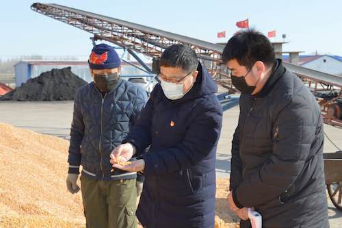 黑龙江汤原：与疫情赛跑 为春耕&ldquo;抢粮&rdquo;