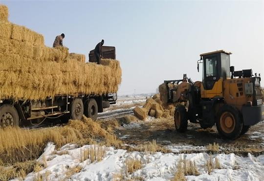哈尔滨民主镇疫情防控不松劲 秸秆离田备春耕