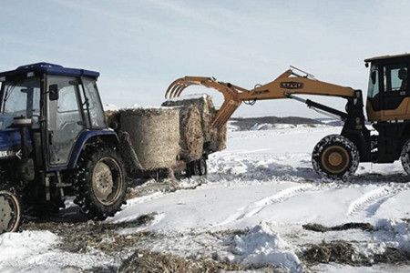 七台河茄子河区：不误农时不负春