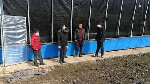 黑龙江汤原：农技人员下村屯 田间地头授&ldquo;锦囊&rdquo;