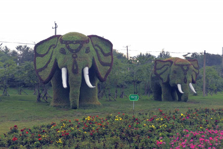 鹤岗：实施&ldquo;三绿工程&rdquo; 全面打造宜居宜业森林城区