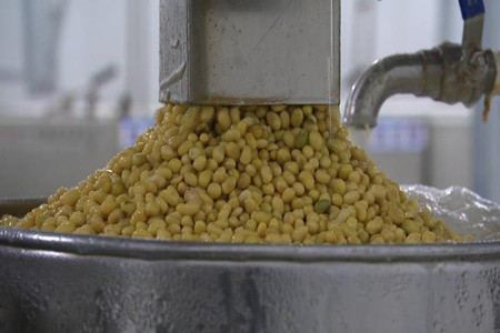 黑龙江克山县：内引外联 点豆成金