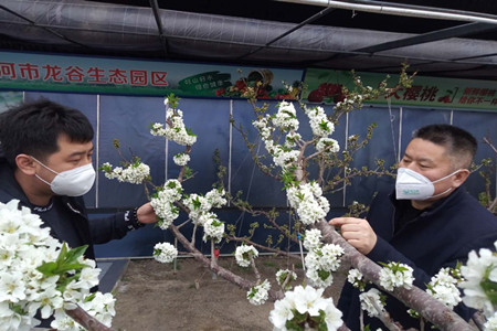 七台河市：抢先抓早备春耕 全力以赴促生产