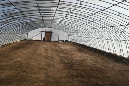 七台河水稻育秧大棚扣棚工作提前告捷