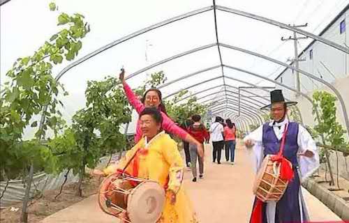 佳木斯：厚植旅游发展优势 打造宜居宜业环境