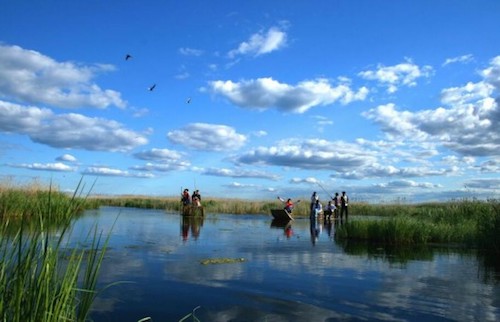 佳木斯：聚焦&ldquo;打伞破网&rdquo;深入攻坚 敢于担当 深挖彻查到底