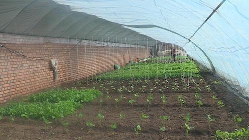 伊春市乌翠区 战疫情备春耕 确保农业生产开好局 ​