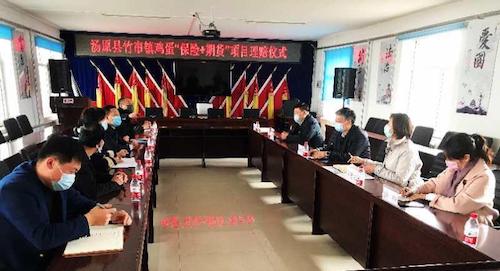 黑龙江省东部地区首单鸡蛋&ldquo;保险+期货&rdquo;理赔顺利赔付