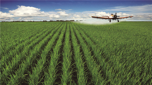 云游龙江⑩|黑土湿地之都&mdash;&mdash;双鸭山