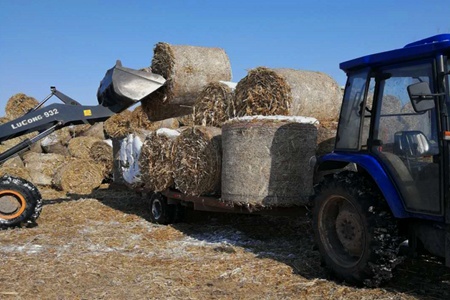 七台河茄子河区扎实推进秸秆综合利用
