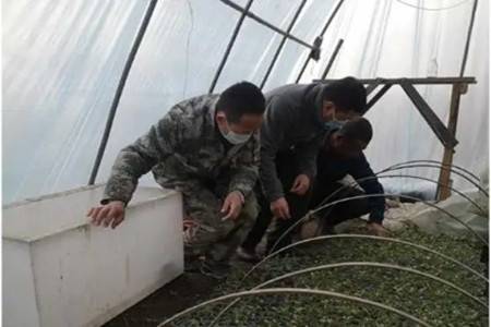 黑龙江抚远：29名驻贫困村第一书记成为决胜脱贫攻坚主力