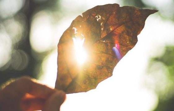 &ldquo;湖北加油&rdquo;不仅要喊在嘴里，更要放在心里