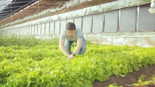 黑龙江汤原县：决战脱贫攻坚 特色产业&ldquo;打头阵&rdquo;