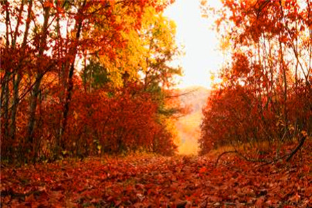 云游龙江⑫ |山水园林城 幸福七台河