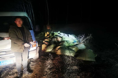 黑龙江肇源县公安局破获1起盗运原油案件