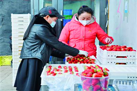 田润公司：打造全省领先的智慧农业田园综合体