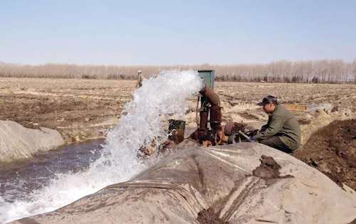 黑龙江垦区普阳农场：泡田整地抢农时 环环紧扣争主动