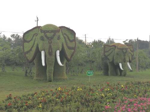 鹤岗：依法征收滞迁户房屋 加快体育公园项目建设