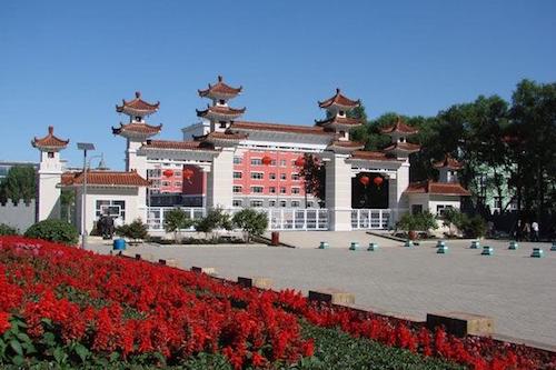 鹤岗：真正把实事做实 好事办好 让人民群众满意