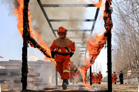 哈尔滨：开展森林扑火演练 筑牢&ldquo;安全生产&rdquo;生命线