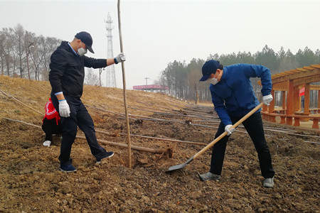 七台河：植树育林添新绿 增强城市&ldquo;肺动力&rdquo;