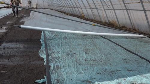 黑龙江嘉荫县掀起水稻育苗热潮