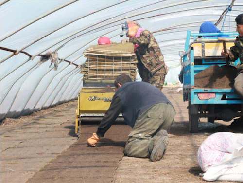 黑龙江鲶鱼沟实业集团干劲十足抢农时 疫情防控和春耕生产两不误