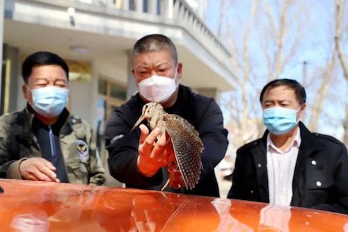 遭遇暴雪受伤 齐齐哈尔市碾子山区来了一位&ldquo;不速之客&rdquo;