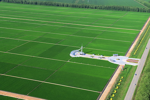 不负好春光，黑龙江省全力以赴推进春耕生产