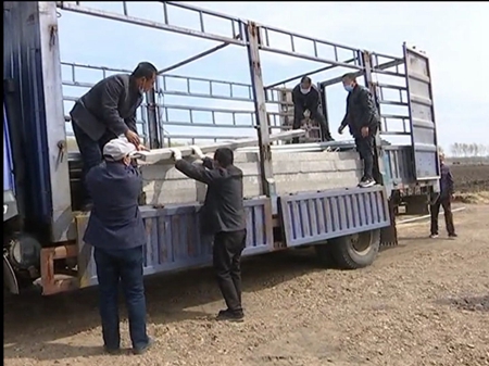 黑龙江富裕县：企业助力，复垦土地上长满希望田野