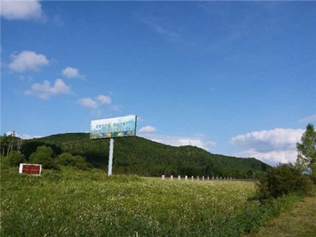 鹤岗市委书记张恩亮：原生态是大自然的产物，保护生态就是发展生产力