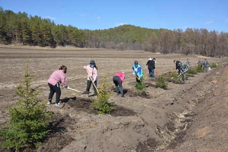 伊春南岔县：整治城乡&ldquo;短板&rdquo; 提升城乡颜值 扮靓人居环境