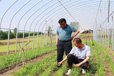 企联村村脱贫 党帮群群致富 &mdash;&mdash;记黑龙江省乐宝食品有限公司总经理高凤山扶贫事迹