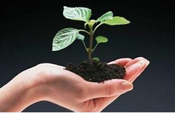 北京：2019年中心城和行政副中心污水100%处理