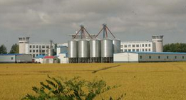 天津动态管控堆场扬尘污染