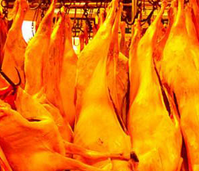 羊肉价格大跌 养殖大户遭多人追债失联跑路