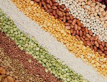 5批次南方黑芝麻糊大肠菌群超标 黑芝麻糊咋&ldquo;糊&rdquo;了