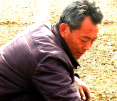 沂蒙山区特色黄烟种植成农民增收致富钱串子