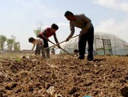 白彦镇 2000名农民微信圈内春耕备播忙